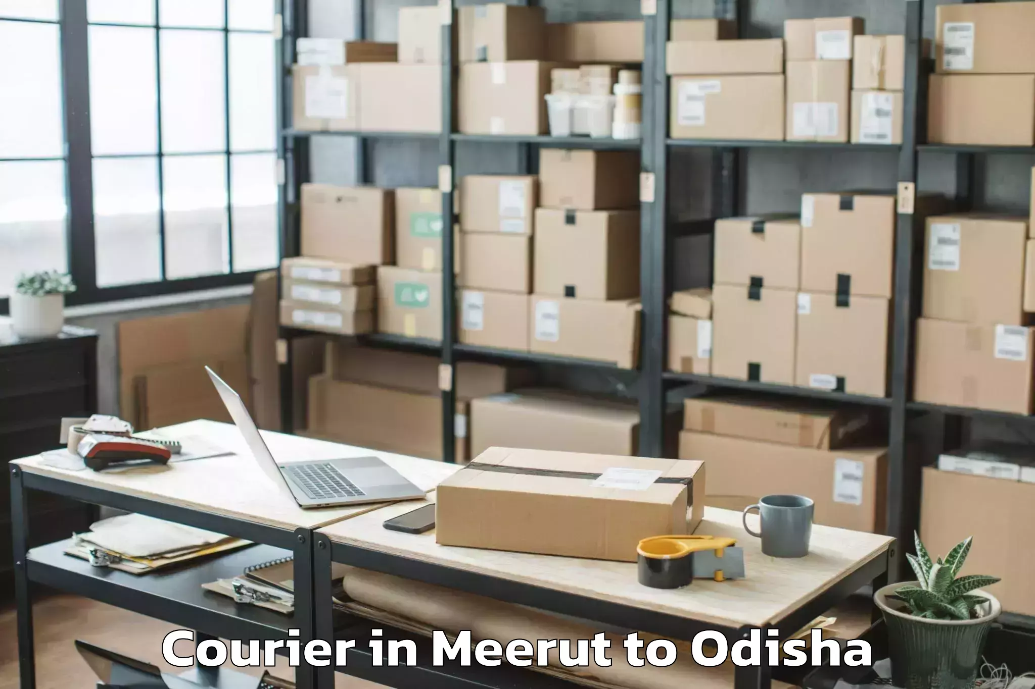 Leading Meerut to Boudh Courier Provider